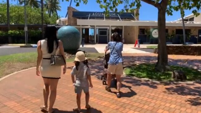 子連れでホノルル水族館